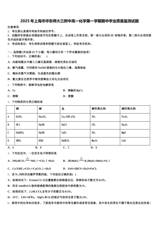2025年上海市华东师大三附中高一化学第一学期期中学业质量监测试题含解析