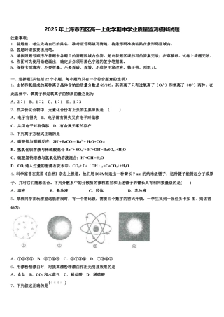 2025年上海市四区高一上化学期中学业质量监测模拟试题含解析