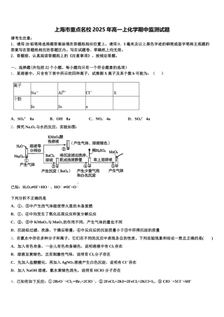 上海市重点名校2025年高一上化学期中监测试题含解析