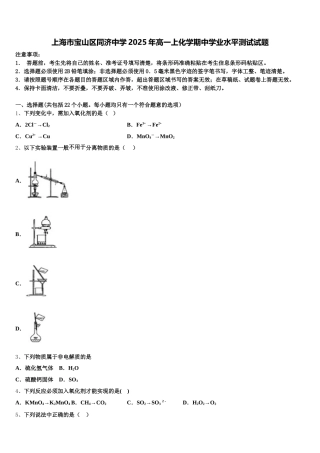 上海市宝山区同济中学2025年高一上化学期中学业水平测试试题含解析
