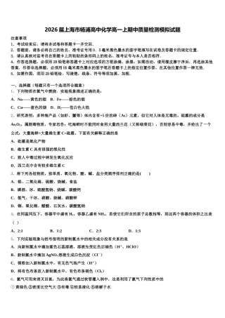 2026届上海市杨浦高中化学高一上期中质量检测模拟试题含解析