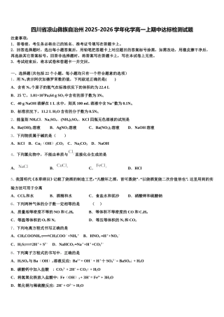 四川省凉山彝族自治州2025-2026学年化学高一上期中达标检测试题含解析