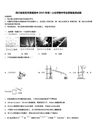 四川省宜宾市普通高中2025年高一上化学期中学业质量监测试题含解析