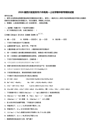 2026届四川省宜宾市六中高高一上化学期中联考模拟试题含解析