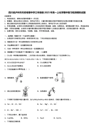 四川省泸州市天府老窖中学三年级级2025年高一上化学期中复习检测模拟试题含解析