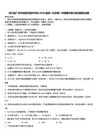 四川省广安市武胜烈面中学校2026届高一化学第一学期期中复习检测模拟试题含解析