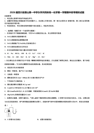 2026届四川省眉山第一中学办学共同体高一化学第一学期期中统考模拟试题含解析
