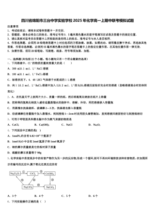 四川省绵阳市三台中学实验学校2025年化学高一上期中联考模拟试题含解析
