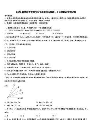 2026届四川省宜宾市兴文县高级中学高一上化学期中预测试题含解析