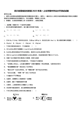 四川省蓉城名校联盟2025年高一上化学期中学业水平测试试题含解析