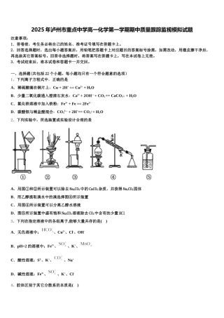 2025年泸州市重点中学高一化学第一学期期中质量跟踪监视模拟试题含解析
