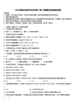 2026届四川省巴中市化学高一第一学期期中监测模拟试题含解析