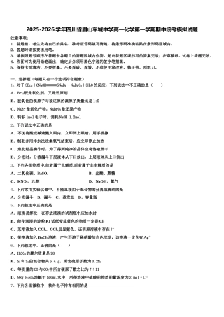 2025-2026学年四川省眉山车城中学高一化学第一学期期中统考模拟试题含解析