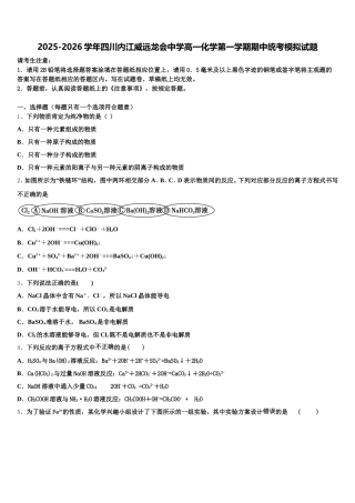 2025-2026学年四川内江威远龙会中学高一化学第一学期期中统考模拟试题含解析