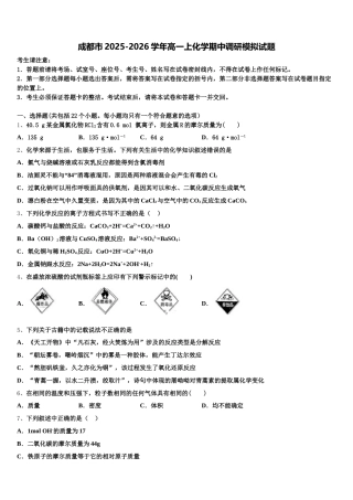 成都市2025-2026学年高一上化学期中调研模拟试题含解析