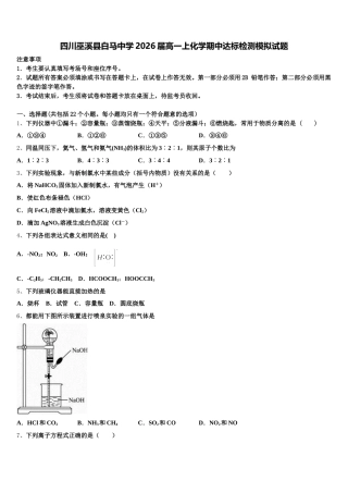 四川巫溪县白马中学2026届高一上化学期中达标检测模拟试题含解析