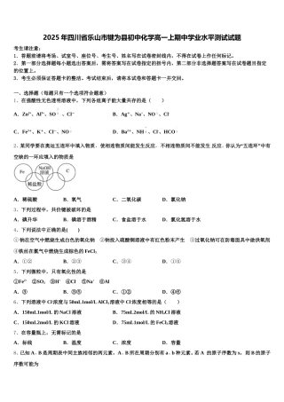 2025年四川省乐山市犍为县初中化学高一上期中学业水平测试试题含解析