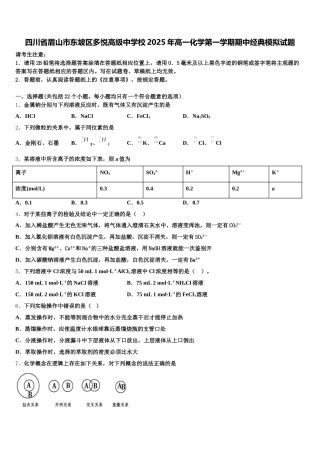 四川省眉山市东坡区多悦高级中学校2025年高一化学第一学期期中经典模拟试题含解析