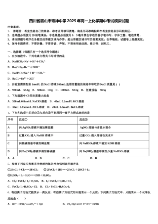 四川省眉山市青神中学2025年高一上化学期中考试模拟试题含解析