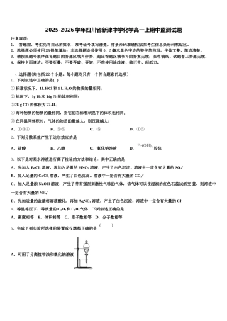 2025-2026学年四川省新津中学化学高一上期中监测试题含解析