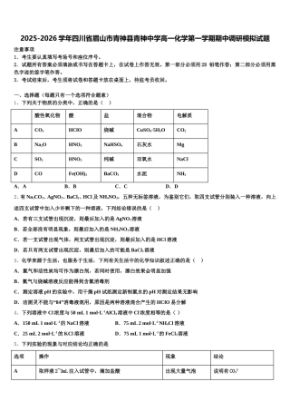 2025-2026学年四川省眉山市青神县青神中学高一化学第一学期期中调研模拟试题含解析