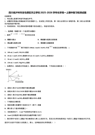 四川省泸州市龙马潭区天立学校2025-2026学年化学高一上期中复习检测试题含解析