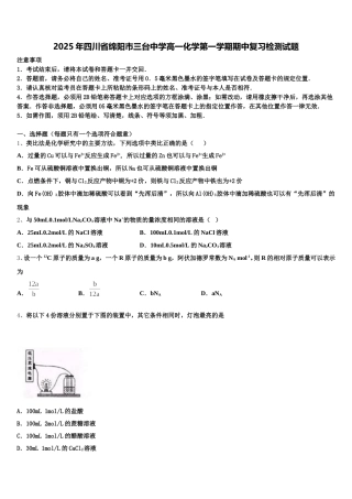 2025年四川省绵阳市三台中学高一化学第一学期期中复习检测试题含解析