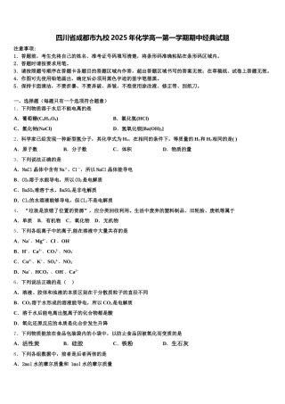 四川省成都市九校2025年化学高一第一学期期中经典试题含解析