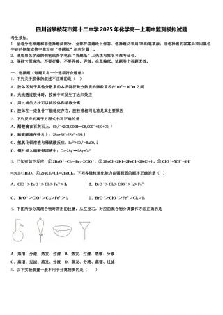 四川省攀枝花市第十二中学2025年化学高一上期中监测模拟试题含解析