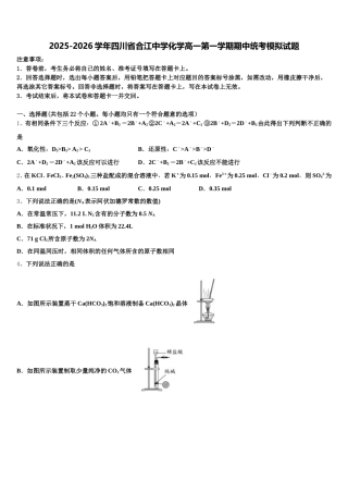2025-2026学年四川省合江中学化学高一第一学期期中统考模拟试题含解析