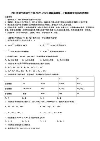 四川省遂宁市遂宁二中2025-2026学年化学高一上期中学业水平测试试题含解析