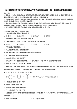 2026届四川省泸州市市合江县合江天立学校高化学高一第一学期期中联考模拟试题含解析