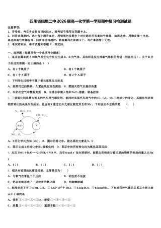 四川省峨眉二中2026届高一化学第一学期期中复习检测试题含解析