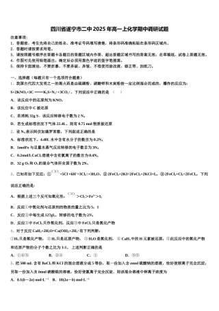 四川省遂宁市二中2025年高一上化学期中调研试题含解析