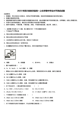 2025年四川省射洪县高一上化学期中学业水平测试试题含解析