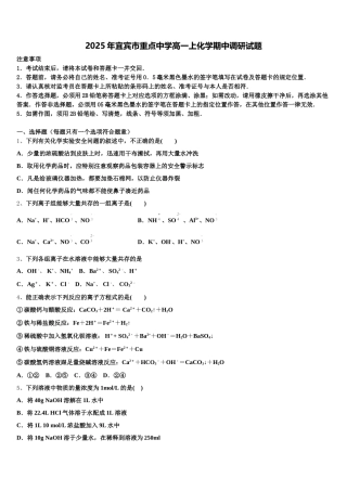 2025年宜宾市重点中学高一上化学期中调研试题含解析
