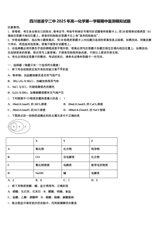 四川省遂宁二中2025年高一化学第一学期期中监测模拟试题含解析