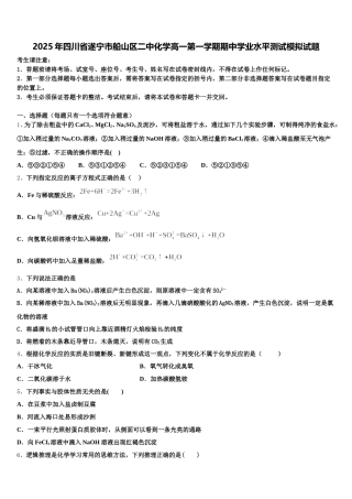 2025年四川省遂宁市船山区二中化学高一第一学期期中学业水平测试模拟试题含解析