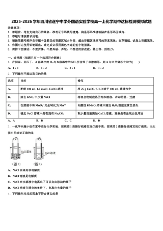 2025-2026学年四川省遂宁中学外国语实验学校高一上化学期中达标检测模拟试题含解析