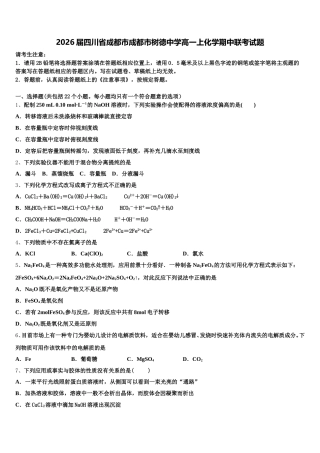2026届四川省成都市成都市树德中学高一上化学期中联考试题含解析