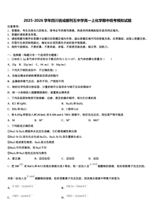 2025-2026学年四川省成都列五中学高一上化学期中统考模拟试题含解析