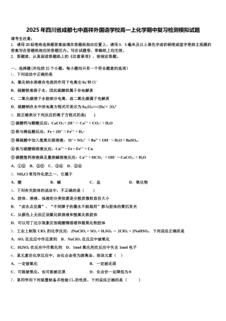 2025年四川省成都七中嘉祥外国语学校高一上化学期中复习检测模拟试题含解析