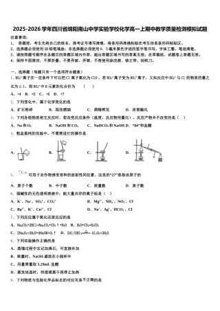 2025-2026学年四川省绵阳南山中学实验学校化学高一上期中教学质量检测模拟试题含解析