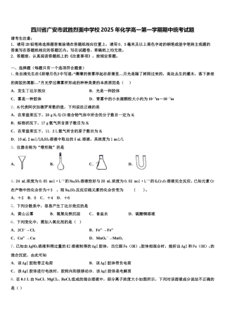 四川省广安市武胜烈面中学校2025年化学高一第一学期期中统考试题含解析