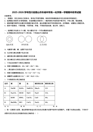 2025-2026学年四川省眉山市车城中学高一化学第一学期期中统考试题含解析