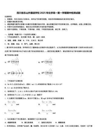 四川省乐山外国语学校2025年化学高一第一学期期中检测试题含解析