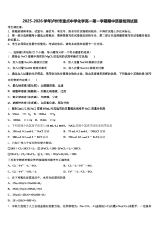 2025-2026学年泸州市重点中学化学高一第一学期期中质量检测试题含解析