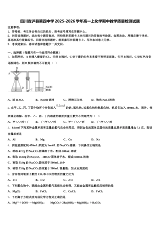 四川省泸县第四中学2025-2026学年高一上化学期中教学质量检测试题含解析
