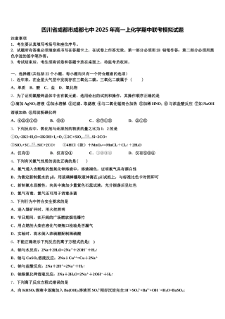 四川省成都市成都七中2025年高一上化学期中联考模拟试题含解析