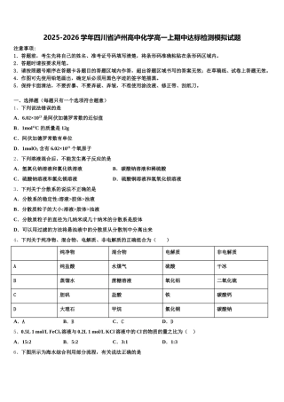 2025-2026学年四川省泸州高中化学高一上期中达标检测模拟试题含解析